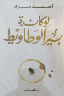 لوكاندة بير الوطاويط - أحمد مراد